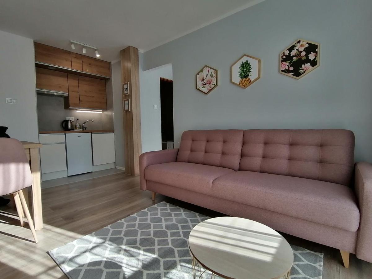 City Apartments Studio Zgorzelec Zewnętrze zdjęcie